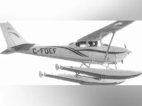 Avion Cessna 172 thumbnail 3