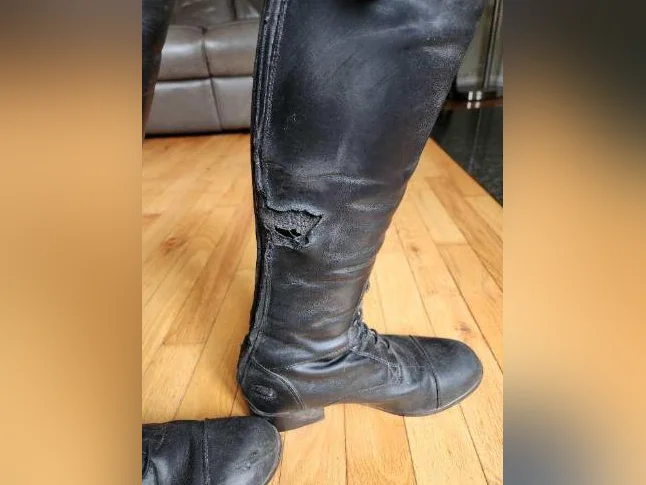Bottes d'equitation Ariat a vendre thumbnail 3