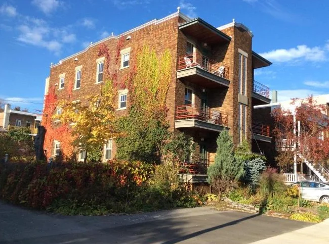 Très beau 4½ avec salon double au coeur du Vieux-Limoilou