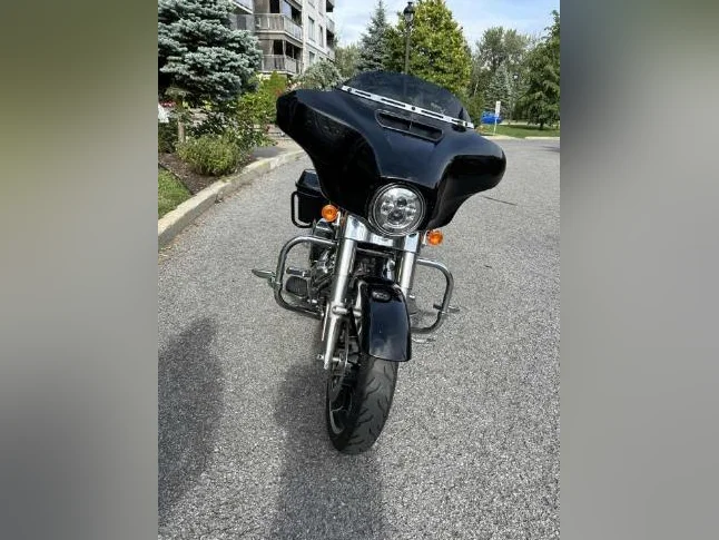Harley Davidson 2020 thumbnail 3