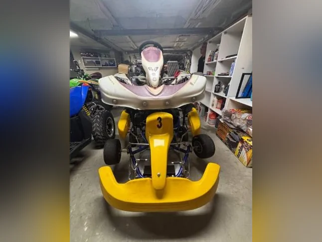 Kart Rotax 125cc 2 temps entièrement remis à neuf thumbnail 2
