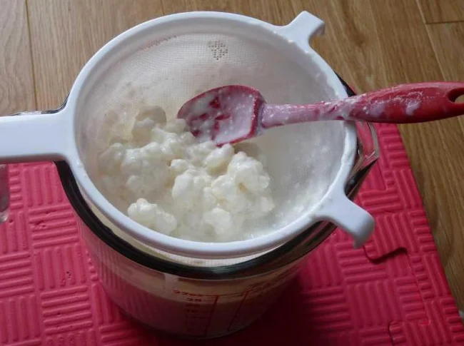 Graines de kefir