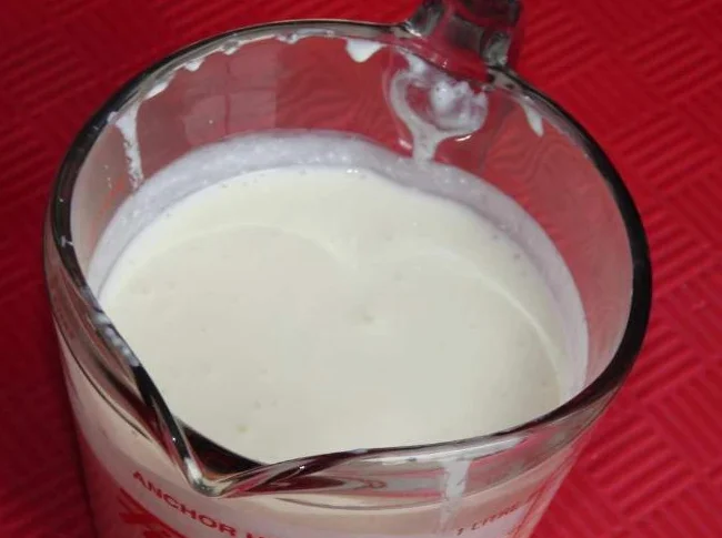 Graines de kefir thumbnail 2