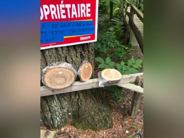 Bois en tranches à vendre allant de 2,50$ à 25$ la tranche thumbnail 3