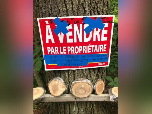 Bois en tranches à vendre allant de 2,50$ à 25$ la tranche thumbnail 2
