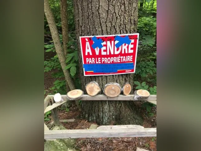 Bois en tranches à vendre allant de 2,50$ à 25$ la tranche