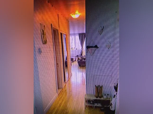 NDG 1 Bedroom Apt on Sherbrooke West thumbnail 2