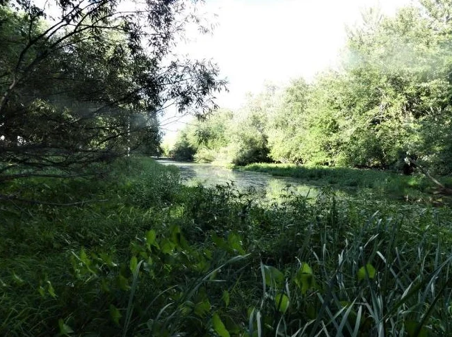 Petit studio 2 1/2, belle vue sur terrain boisé près de l'eau thumbnail 10