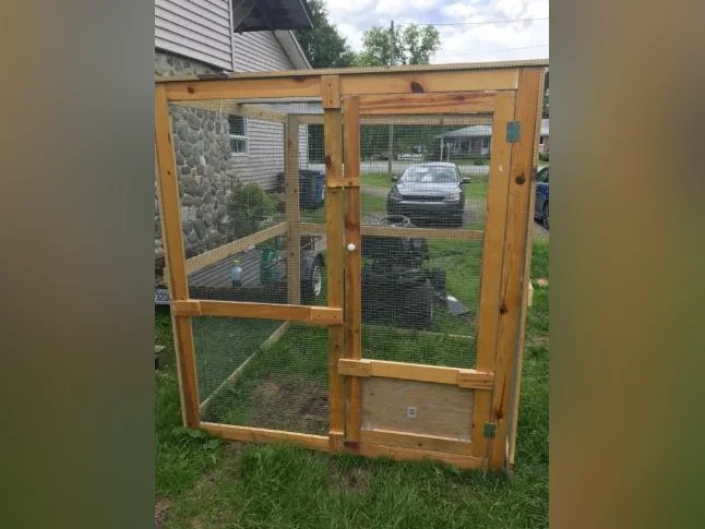 Volière extérieur intérieur ou cage