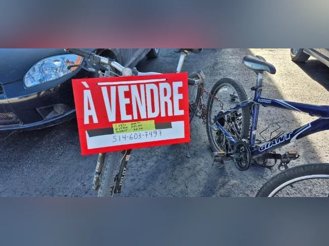 2 velo
