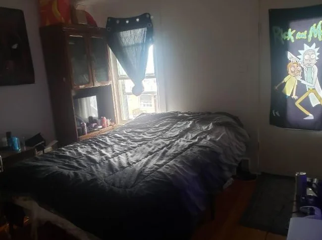 Appartement 3 et demi thumbnail 4