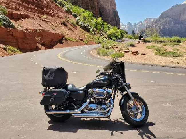 2012 Harley Davidson Sportster 1200 Custom thumbnail 4