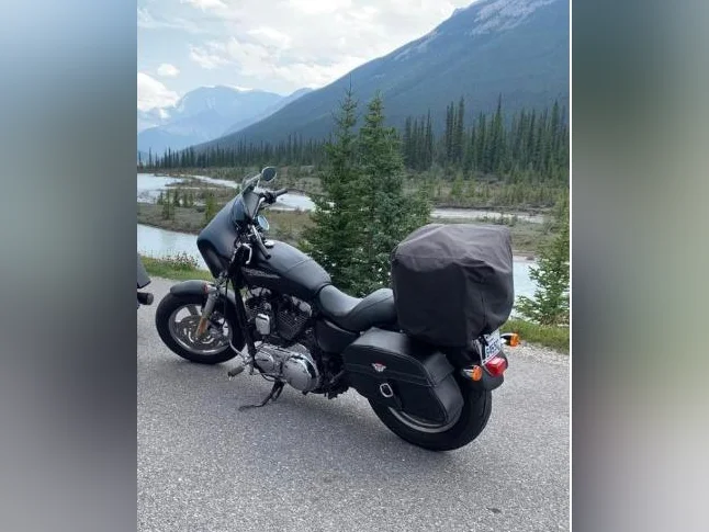 2012 Harley Davidson Sportster 1200 Custom thumbnail 5
