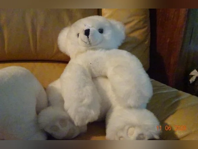 ensemble de peluches diverses thumbnail 7