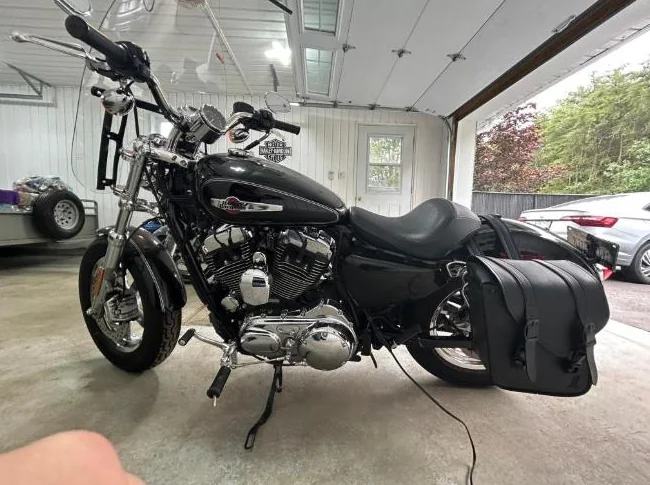 Harley Davidson sporster custom xl1200 2017 thumbnail 3