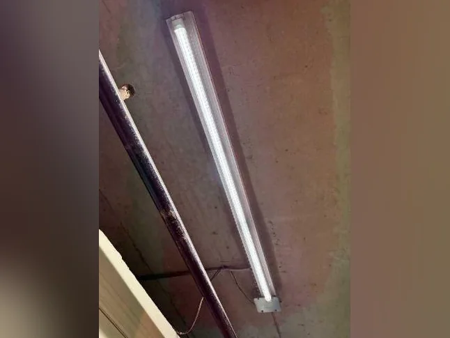 tube neon 48 '' T8.. 5000K thumbnail 2