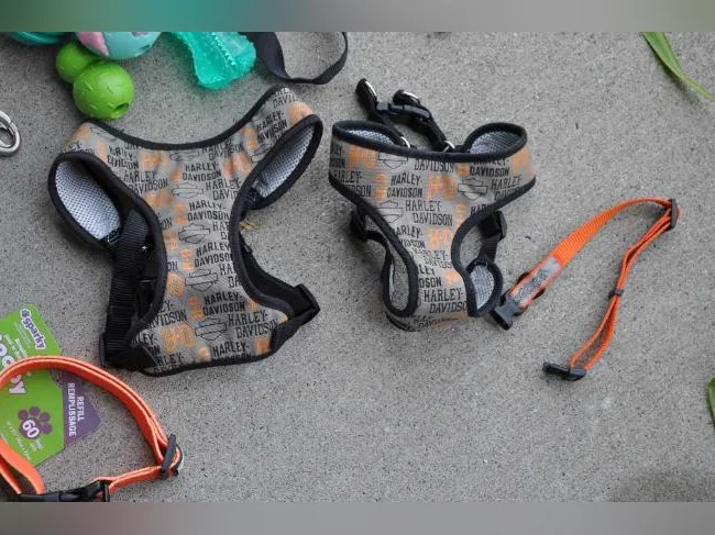 Accessoires vendues ensemble. Grande qualité et très propre. thumbnail 3