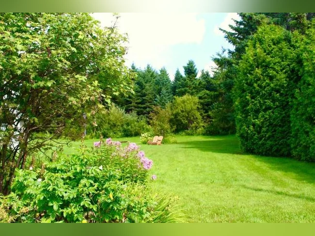 Charmante épicerie de village bien établie avec maison/gîte thumbnail 3