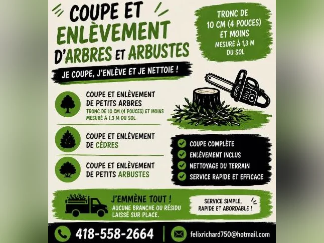 Coupes et enlèvements de cèdres, arbustes, petits arbres, arbres déjà tomber
