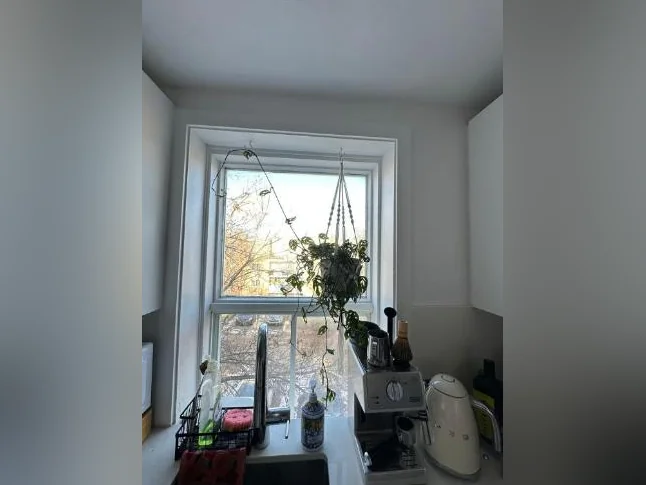 CESSION DE BAIL – GRAND 5 1/2 LUMINEUX (HOCHELAGA /PREFONTAINE) thumbnail 4