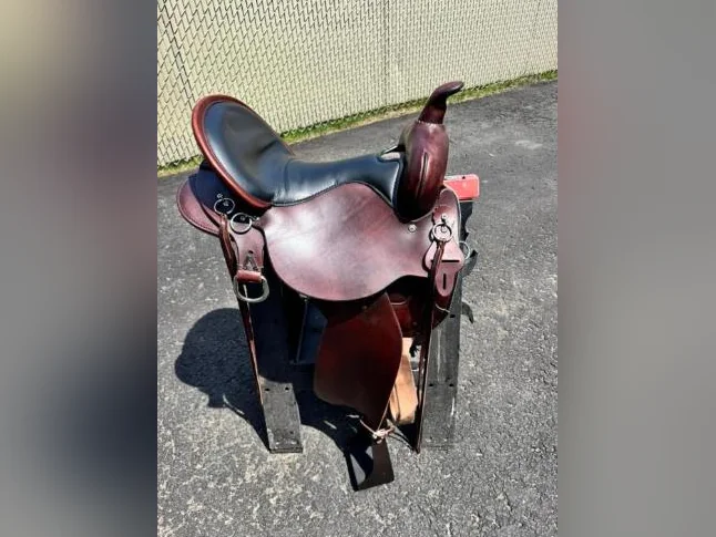Selle/saddle High horse Circle Y Little River Trail