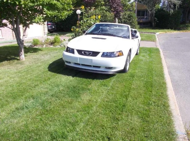 mustang 2001 convertible thumbnail 5