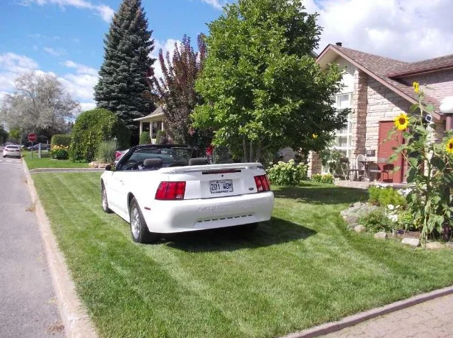 mustang 2001 convertible thumbnail 3