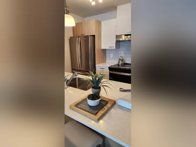 APPARTEMENT À LOUER AVEC DEN TOUT INCLUS AVEC GARAGE thumbnail 5