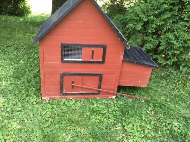Poulailler a vendre