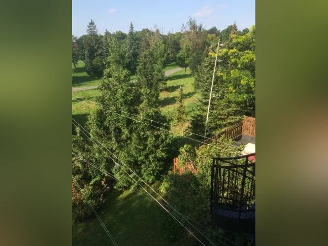 Rosemont  6 X logements  3  1/ 2 pièces,  Propriété unique, VUE SUR LE PARC thumbnail 5