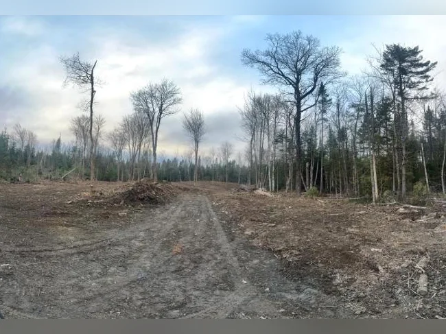 🌲 TERRAIN BOISÉ 10 ACRES À VENDRE Saint-Hermenegilde, QC J0B 2W0 thumbnail 7