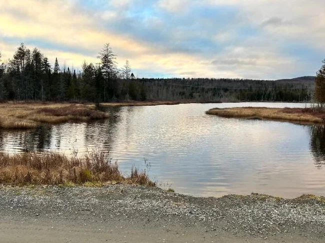 🌲 TERRAIN BOISÉ 10 ACRES À VENDRE Saint-Hermenegilde, QC J0B 2W0 thumbnail 9