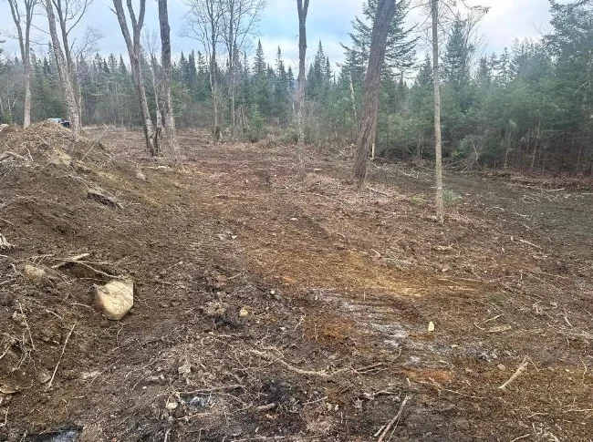 🌲 TERRAIN BOISÉ 10 ACRES À VENDRE Saint-Hermenegilde, QC J0B 2W0 thumbnail 2