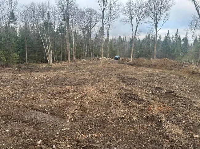 🌲 TERRAIN BOISÉ 10 ACRES À VENDRE Saint-Hermenegilde, QC J0B 2W0