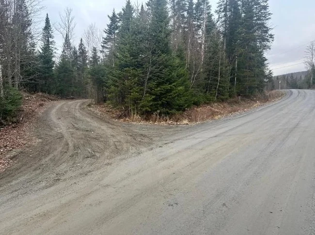 🌲 TERRAIN BOISÉ 10 ACRES À VENDRE Saint-Hermenegilde, QC J0B 2W0 thumbnail 4