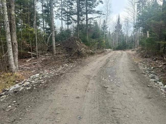 🌲 TERRAIN BOISÉ 10 ACRES À VENDRE Saint-Hermenegilde, QC J0B 2W0 thumbnail 3