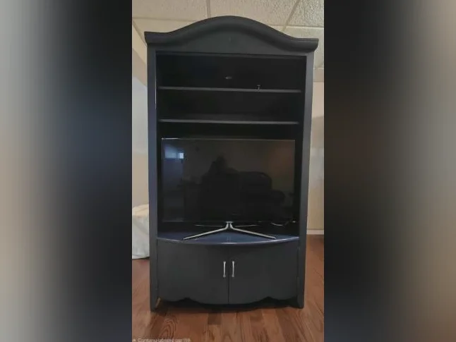Meuble bibliothèque avec télévision