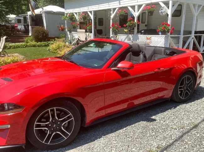 Mustang cabriolet 2018 thumbnail 2