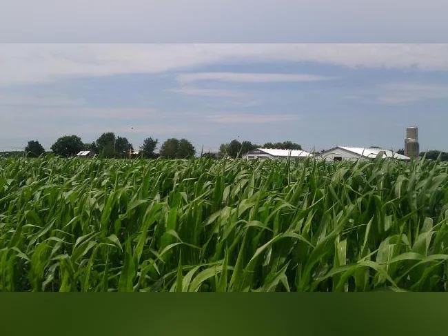 agronome spécialisé en agroenvironnement