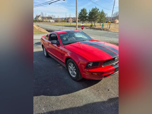 Mustang 2005 Manuelle 4L thumbnail 3