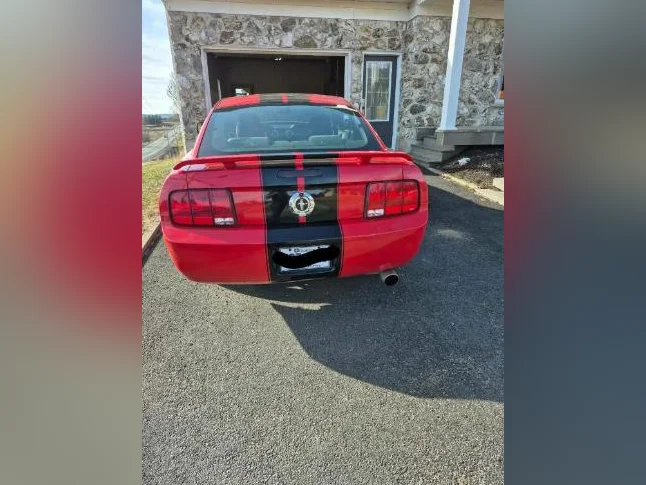 Mustang 2005 Manuelle 4L thumbnail 2