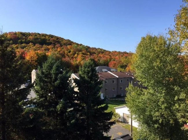 4 1/2 Bromont thumbnail 2