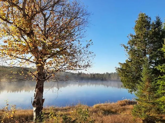 Camp rustique à vendre St-Narcisse de Rimouski thumbnail 7