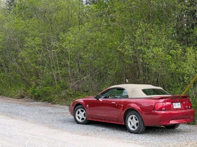 Ford Mustang décapotable thumbnail 3