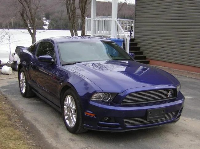 mustang