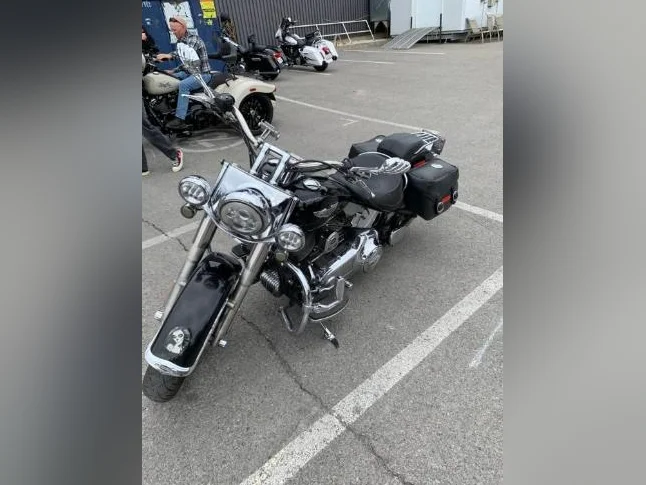 Softail Deluxe 2010 thumbnail 7