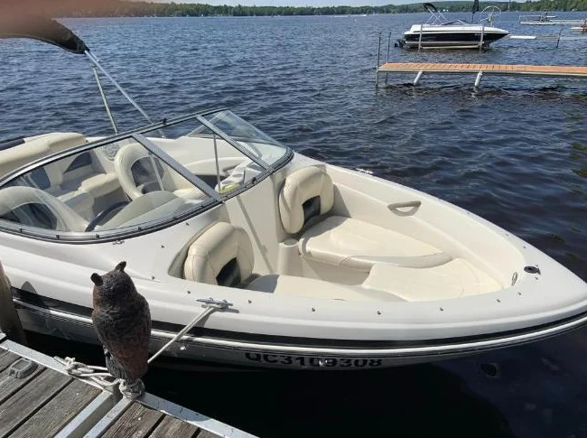 Bateau plaisance TAHOE Q4 SS 2010 thumbnail 4