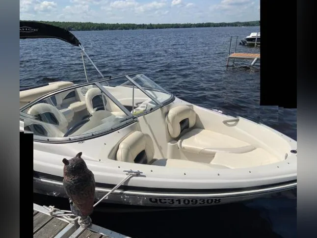 Bateau plaisance TAHOE Q4 SS 2010 thumbnail 6