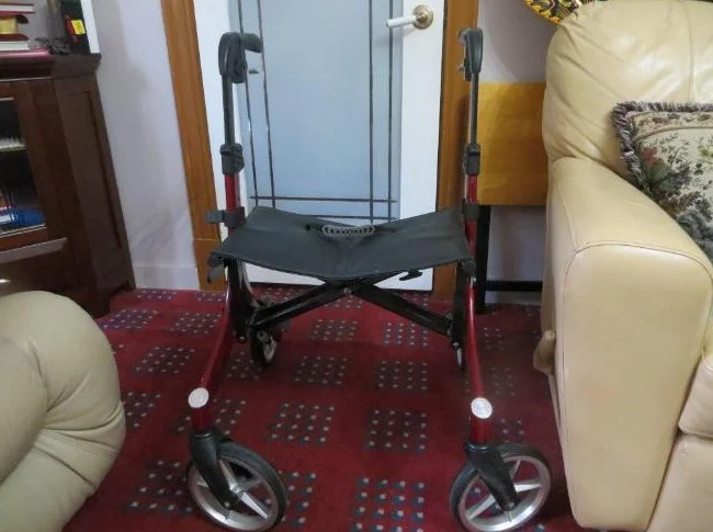 DEAMBULATEUR STELLA 20