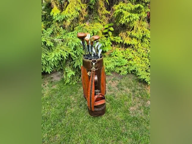 Bâtons de Golf (11 en tout + Sac de Golf) pour joueur occasionnel thumbnail 6